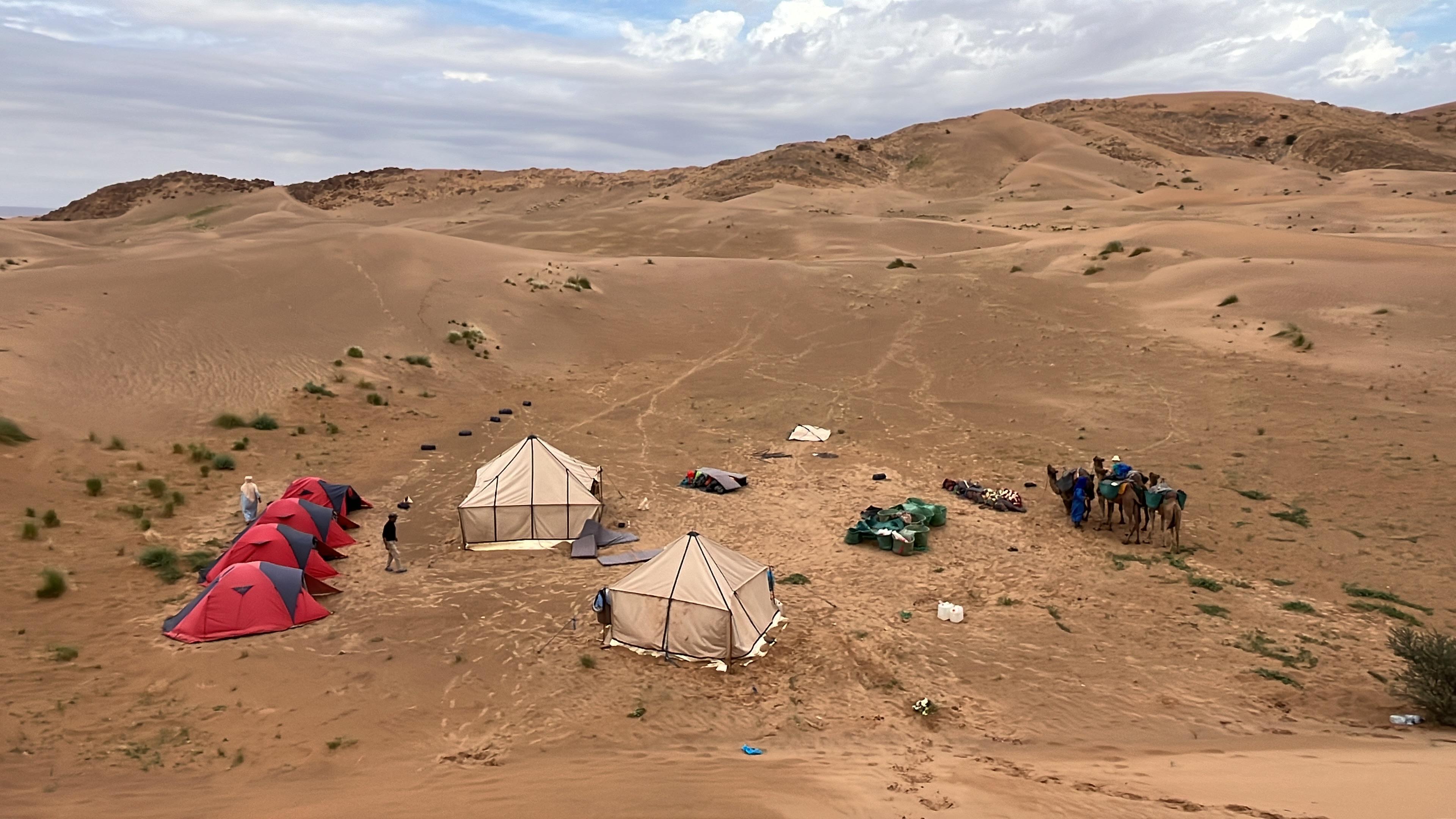 Wüstencamp Bivouac in der Sahara